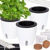 ONVAYA® Herb Pot Self-Watering | Water Level Readable | Set