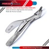 PRECISE CANADA: Dental EXTRACTING Forceps #150 1/2S PC