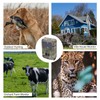Eujgoov PR200 12MP HD 1080P Wildlife Camera Waterproof IP56 Camera
