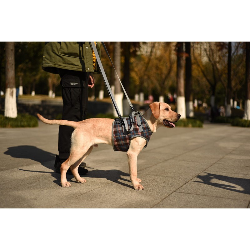 ROZKITCH Dog Lift Harness, Grid Pet Chest Support Aid Veterinarian