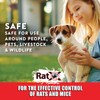 RatX Throw Packs- for All Species of Rats and Mice