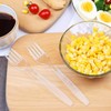 Forks 200 Count Disposable Forks for Dinner, Clear Cutlery is