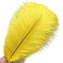 HAPPY FEATHER 16-18 inch Yellow Ostrich Feathers Craft for Wedding Party Centerpieces Home Decoration DIY Craft Pack of 10