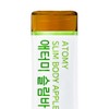 Atomy [Atomy] Slim Body Green Apple Apple Phenone (28 packets,