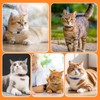 Qianruida Leather Cat Collar Quick Release Kitten Collar Cat Collars