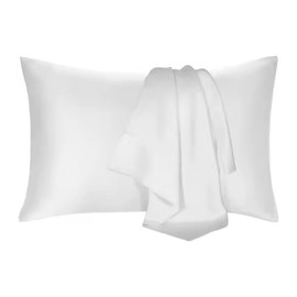 DELITE | Premium 100% Mulberry Silk Pillowcase Set of 2 | 22 Momme | Hidden Zipper | Queen (Pearl)
