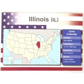 OPO 10 - Set of 3 USA Car License Plates - Replicas of Real Illinois American Plates