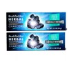 Brush Buddies Herbal 2 Pack Toothpaste Charcoal Cool Mint No