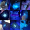 LIGHTFE Black Light 365nm UV Flashlight UV301D-Plus-1, high-Power UV LED,
