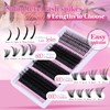 CORUSCATE Cluster Lashes with Spikes 60D80D100D Individual Eyelashes Mega Style
