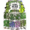 Seed Needs Culinary Herb Seed Collection for Planting an Indoor