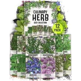 Seed Needs Culinary Herb Seed Collection for Planting an Indoor / Outdoor Herb Garden