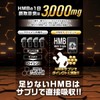 【大容量 600粒】HMB MAX トリプル 600粒【全成分合計183,000mg配合】