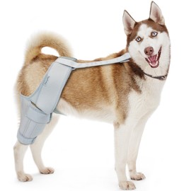 MerryMilo Dog Knee Brace, Torn ACL Hind Leg, Dog Hip Brace, Dog Leg Braces, Cruciate Care Knee Brace for Dogs, Size: XXL