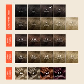 PHYTO Phytocolor Permanent Hair Color, 4 Brown, with Botanical Pigments, 100% Grey Hair Coverage, Ammonia-free, PPD-free, Resorcin-free, 0.42 oz.