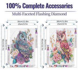 JATOK Diamond Painting for Adults, Owl, Set of 2, 5D DIY Diamond Painting Pictures, Adults, Diamond Art, Full DIY Diamond Art Painting, Embroidery, Cross Stitch Pictures, Home Wall Decor, 30 x 40 cm