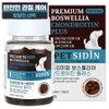 Petcidin dog premium nutritional supplement, 60g, bone joint strengthening, 1 piece / 펫시딘 강아지 프리미엄 영양제, 60g, 뼈관절강화, 1개