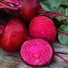 Organic Crosby Egyptian Beet - 1 LB Bulk ~24,000 Seeds