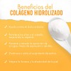 NARTEX | Colágeno Hidrolizado Polvo 240 gramos