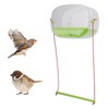 Transparent Bird Feeder with Strong Suction Cup Multifunctional DIY Innovative