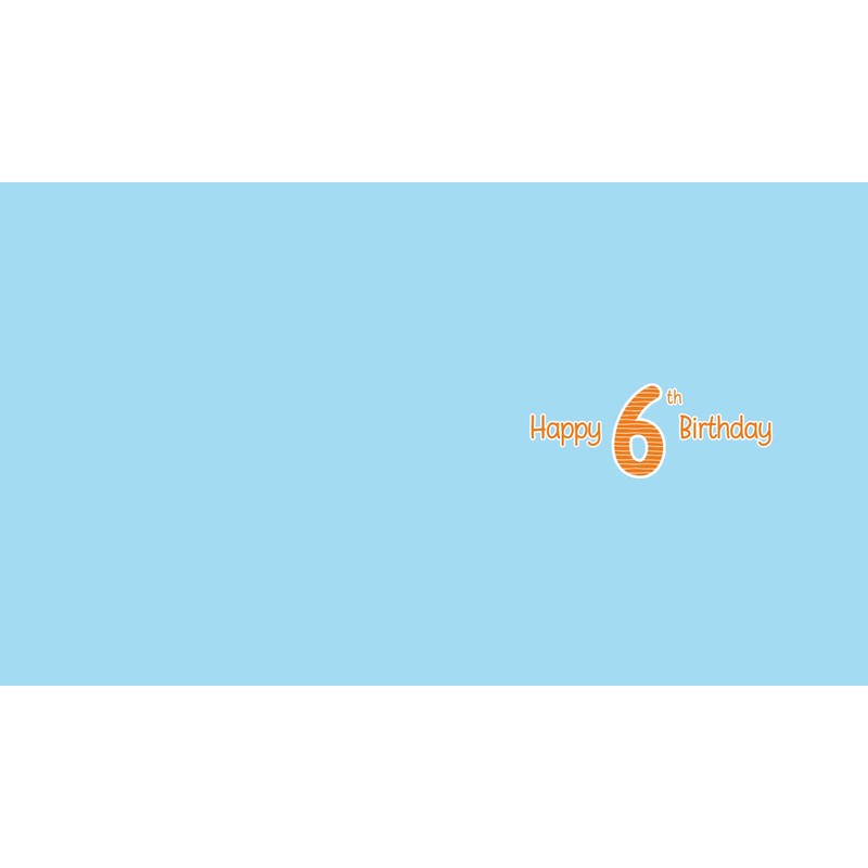 Cute/Fun Boys 6th Birthday Card -Quality Card with foil detailing