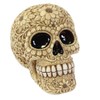 Something Different Wholesale Natural Floral Skull Money Box, White