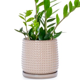 D'vine Dev 6 Inch Ceramic Beaded Stoneware Planter Pot - Flower Pot with Drainage Holes and Saucers for Indoor Succulent Plants or Flowers, Light Brown, 27-C-X-4