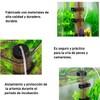 THJOPOKEEL Artemia Eggs - Kit de crianza de Huevos de