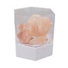 Himalayan Salt Lamp LED RGB Dimmable USB Decorative Essential Oil