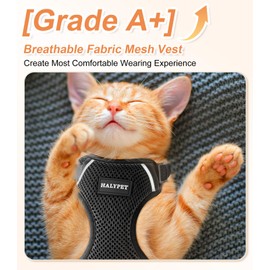 Halypet Cat Harness and Leash Set [ MAX Safety 3rd Gen ] Escape Proof Cat Harness Soft Adjustable Cat Leash Breathable Comfortable Vest Easy to Wear Kitten Harness for Outdoor Walking, XS Black