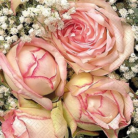 Unbekannt Napkins Pack of 20 33 x 33 cm Lunch Pink Roses / Royal Flower