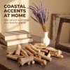20 Pcs Natural Driftwood Pieces Branch Slices Craft Sticks Beach