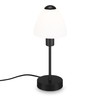BRILONER Leuchten Table Lamp with Cable Switch 1x E14 Max.