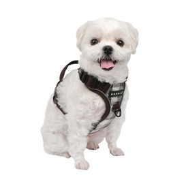 Puppia Garrett Dog Harness H Checkered Pattern Sturdy Adjustable Neck and Chest Reflective for Small and Medium Dogs, Brown, Large