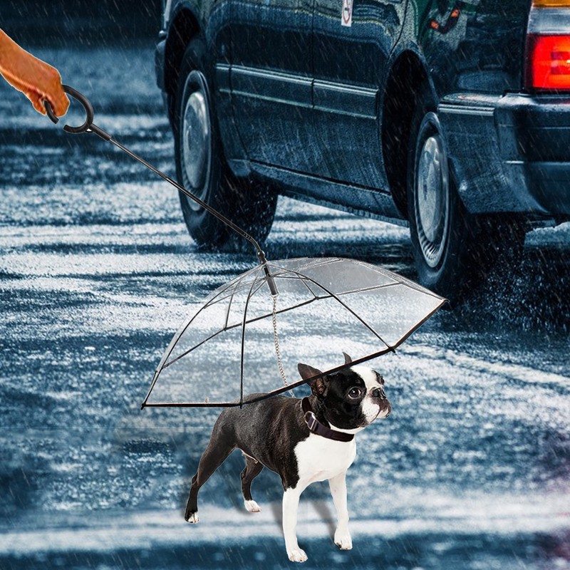 Clear Pet Umbrella Dog Rainy Day Dog Leash With C