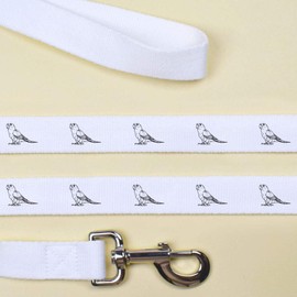 'Sun Conure Bird' Dog Lead/Leash (DL00007744)