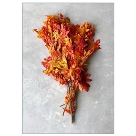 Preserved Fall Oak Leaves l Dried Autumn Leaves for Crafts and Decoration | Preserved Oak Leaves l Dried Arrangement for Home Decor (Autumn)