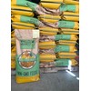 Wholesome Harvest Non-GMO Turkey & Game Bird Starter Feed –