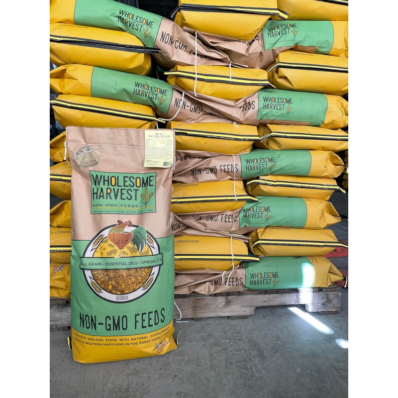 Wholesome Harvest Non-GMO Turkey & Game Bird Starter Feed –