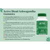 Active Blend Ashwagandha Gummies – Supports Calm, Balanced Mood &
