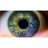 Canon EOS Rebel XT 10x High Definition 2 Element Close-Up