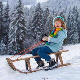 XIABYAYU Sledge Rope, Sledge Cord, 4 m Sledge Lead, Sledge Rope with Handle and Carabiner, Sledge Accessories, Cord for Sledge, Sledge Rope, Pull Rope for Sledge and Toboggan in Winter (C)