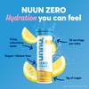 Nuun Zero Sugar Hydration Electrolyte Tablets - Sodium, Potassium, Chloride,