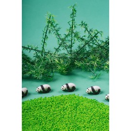 PETIT BOUM 47655 Sound Bottle Panda, Green, 1 Unité (Lot de 1)