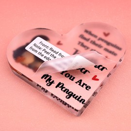 Couple Gifts for Women Unique Couples Heart Acrylic Plaque Decor Romantic Birthday Gifts for Girlfriend Wife Christmas Wedding Valentines Day Gift from Husband Cute Penguins Home Desk Keepsake
