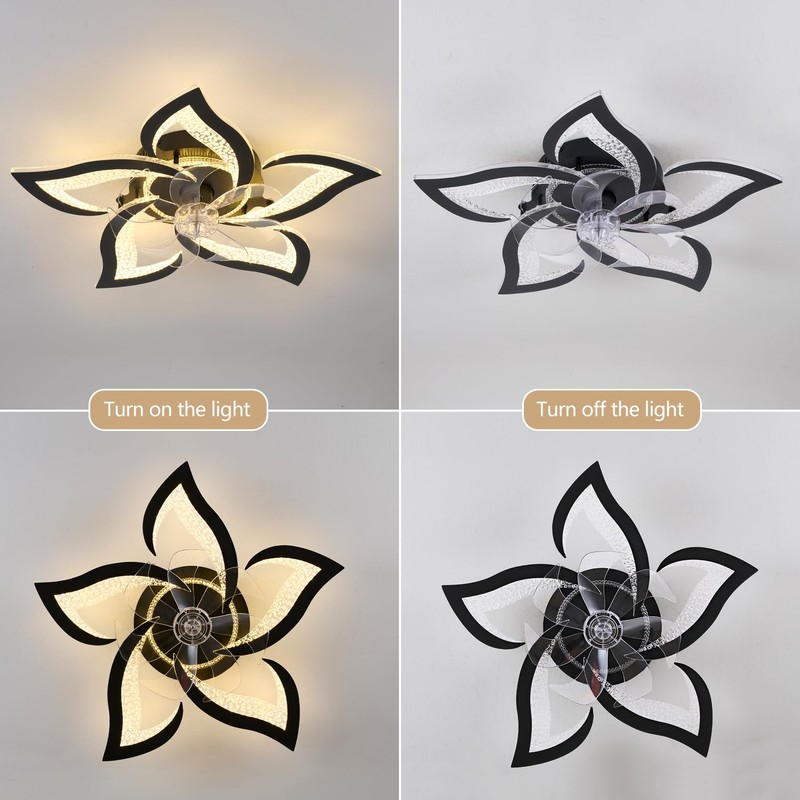 haodengshi 27" Black Geometric Ceiling Fan Lights with Remote, 6