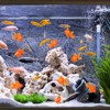 CCOZN 15 Pieces Orange Plastic Artificial Goldfish Aquarium Fish Bowl