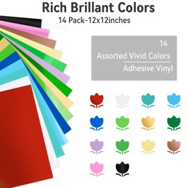 Lya Vinyl 14 Pack Glossy Permanent Vinyl Bundle - Self Adhesive Vinyl Sheets for Cricut, Permanent Outdoor Vinyl Sheets for Home Decal, Mug, Ceramics,DIY Craft