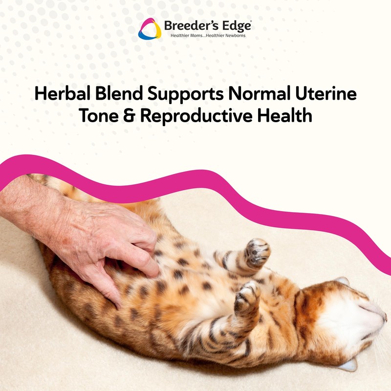 Breeder's Edge Oxy Mate Dog & Cat Prenatal Vitamins, Comprehensive