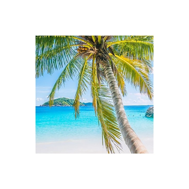 Biolù – Duschgel aus solidem Kokosnuss, 55 g – BIOLU